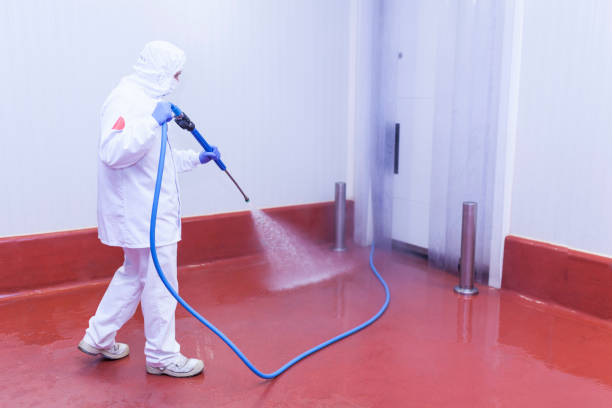 Best Soft Washing for Delicate Surfaces in Braddock, PA