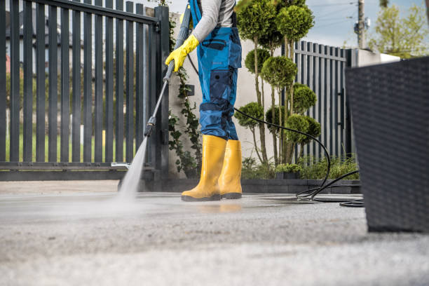 Best Driveway Cleaning and Restoration in Braddock, PA